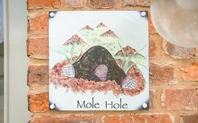Mole Hole
